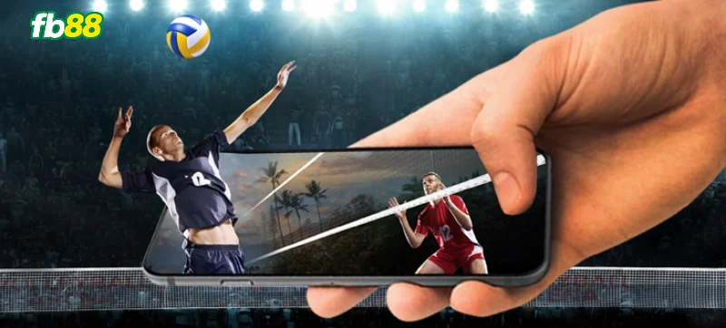 Thế nào là đặt cược bóng chuyền FB88